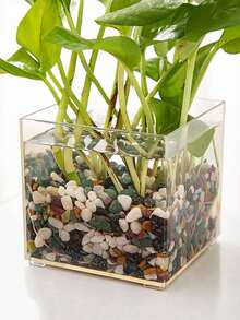 1pc  Transparent Plastic Square Vase, Hydroponic Plant Container For Home, Office, Dining Room Decor - Transparent - View 6