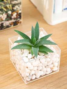 1pc  Transparent Plastic Square Vase, Hydroponic Plant Container For Home, Office, Dining Room Decor - Transparent - View 1
