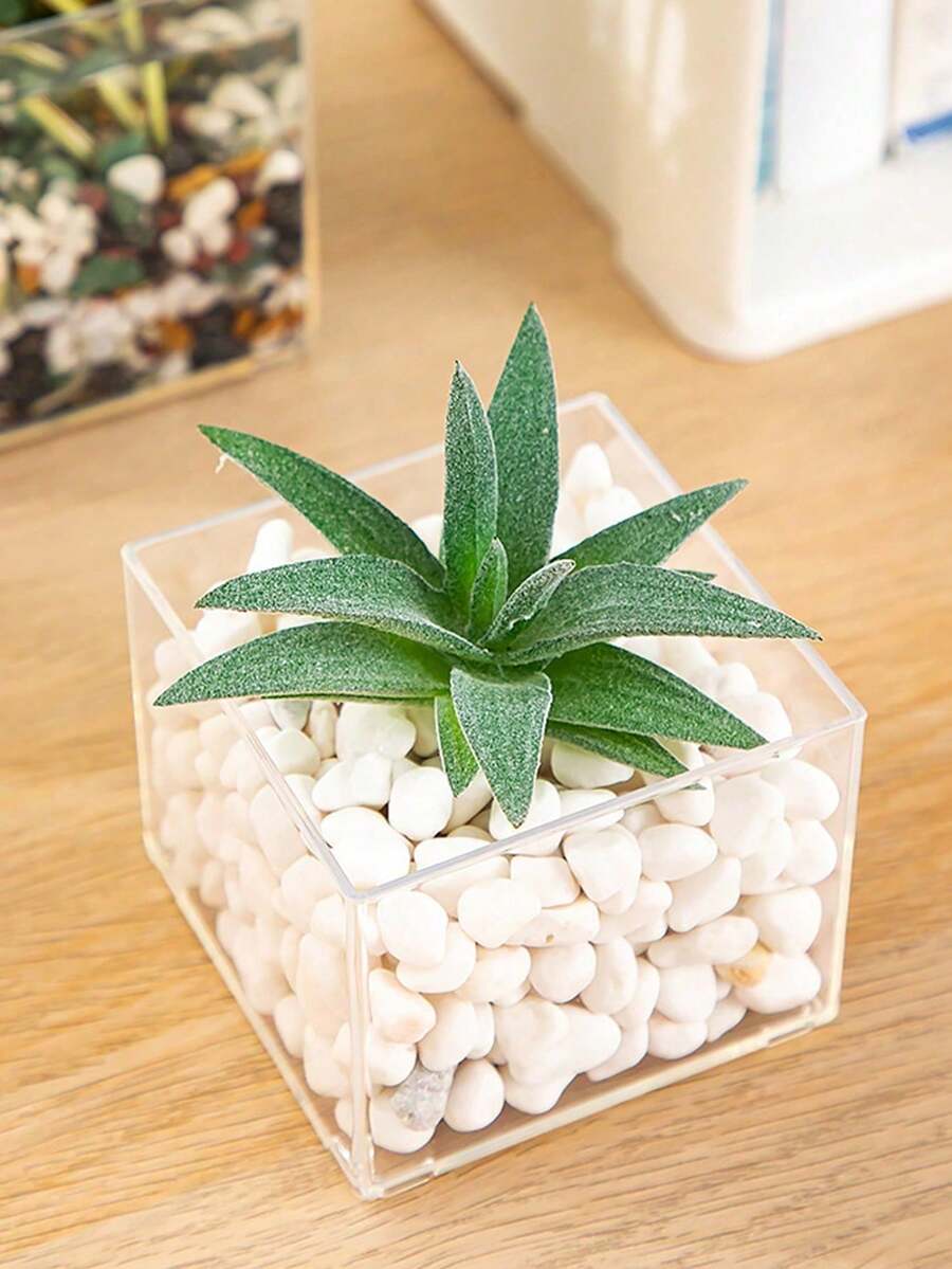 1pc  Transparent Plastic Square Vase, Hydroponic Plant Container For Home, Office, Dining Room Decor - Transparent - View 1