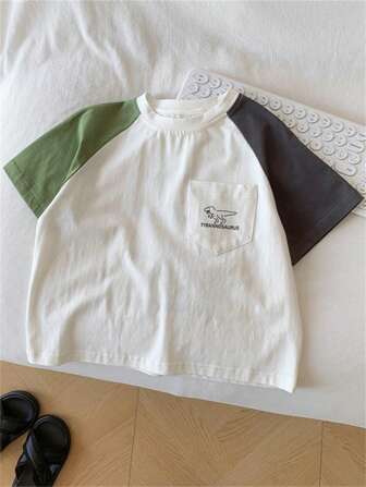 Dinosaur & Letter Print Color Blocking Raglan Sleeve T-Shirt For Young Boys