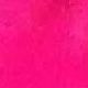 Rosa Fucsia