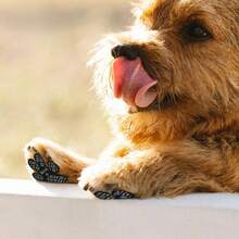 4 Packs Dog Anti Slip Paw Grips Traction Pads Dog Paw Protection Stickers With Stronger Adhesive For Hard Floor Or Injuries