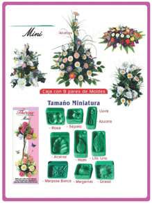 Otros moldes de silicona