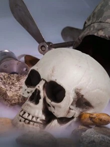 Calaveras de diferentes tamaños que parecen realistas, cabezas de esqueleto humano para decorar bares, hogares y mesas en Halloween y Navidad - Multicolor - Ver 2