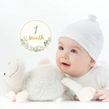 12pcs/Set Month Sticker Card For Newborn, Milestone Blanket Photography Background, For Pregnant Womenbaby Shower Family Decorations Gifts Baby Shower Easter Gift Sthings For Girls/Boys
