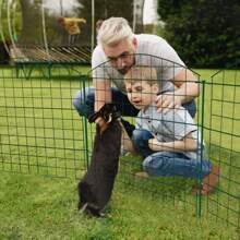 VA-Cerulean Pond Fence 22-Piece Plug-In Fence Set Metal Garden Fence Lattice Fence Upper Arch Dog Fence Fence For Plugging In The Garden 10 Fence Elements And 12 Fixing Rods
