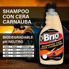SHAMPOO CON CERA CARNAUBA AUTOMOTRIZ 500 ml - Beis - Ver 3