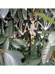 1 件万圣节骷髅蝙蝠、万圣节骷髅蜘蛛、万圣节骷髅蜘蛛骨架、万圣节蝙蝠骨架、万圣节派对用品、恐怖装饰、场景装饰、恐怖道具、服装配饰 - 多色 - 查看 6