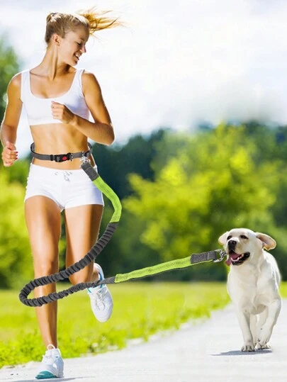 Löpande hundkoppel Midjebälte, handsfree indragbart hundkoppel för promenader, jogging och löpning med husdjur