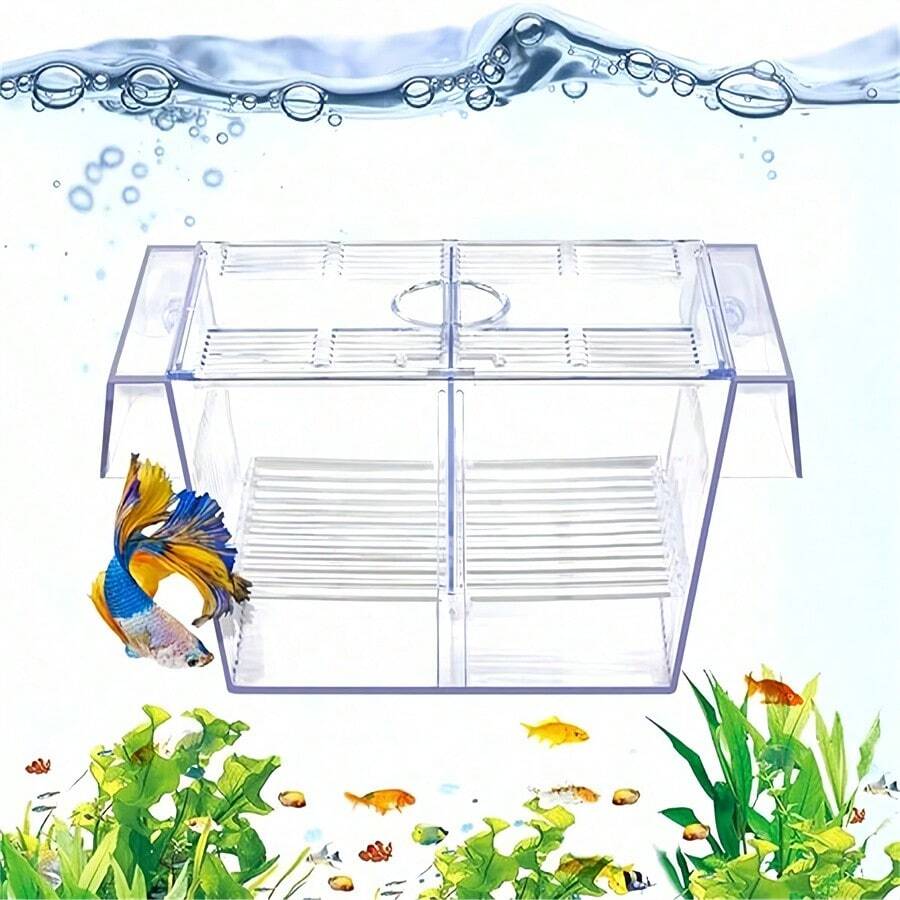 Fish Breeding Box Aquarium Holding Tank Transparent Fish Isolation Box