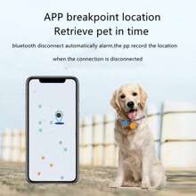 1 Peça Chaveiro com Rastreador GPS Inteligente: Dispositivo Anti-Perda para Animais de Estimação e Bens Valiosos, Localizador sem Fio com Bateria