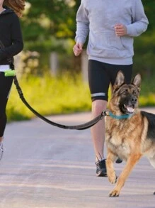 Running Dog Leash Waist Belt, Hands-Free Retractable Dog Leash For Walking, Jogging, And Running With Pets