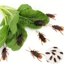 Funny Prank Toy Fake Cockroach, Novelty Realistic Cockroach Insect Toy Joke, Tricky Creepy Horrible Gag Gifts, Party Favors, Holiday Gifts, Halloween Party Supplies Fall Autumn,Christmas