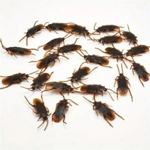 Funny Prank Toy Fake Cockroach, Novelty Realistic Cockroach Insect Toy Joke, Tricky Creepy Horrible Gag Gifts, Party Favors, Holiday Gifts, Halloween Party Supplies Fall Autumn,Christmas