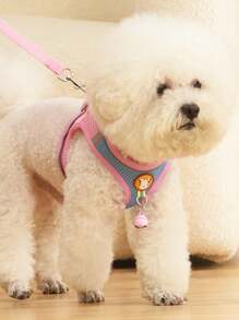 内衣狗绳小型犬泰迪熊博美犬幼犬胸背带宠物链遛狗绳 - 彩色 - 查看 4