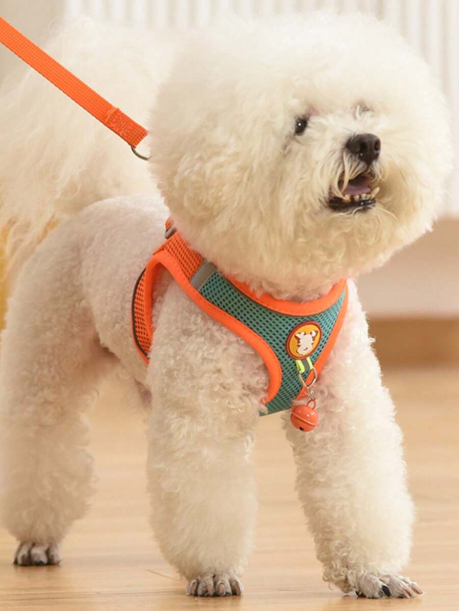 内衣狗绳小型犬泰迪熊博美犬幼犬胸背带宠物链遛狗绳 - 彩色 - 查看 1