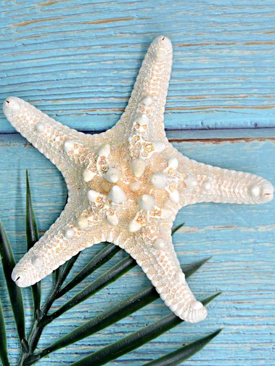 Conch Seashell Starfish Decoration Pieces For Wall Or Floor, Mediterranean Style - Multicolor - View 1