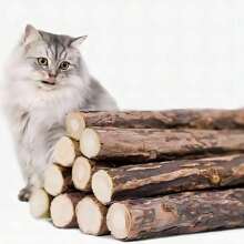 10 pièces Set de jouets à mâcher pour chat : bâtonnets de Silvervine pour soulager l'ennui et nettoyer les dents !