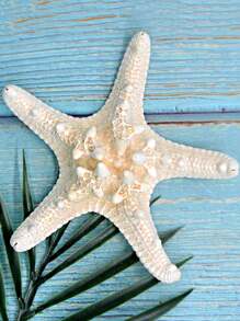 Conch Seashell Starfish Decoration Pieces For Wall Or Floor, Mediterranean Style - Multicolor - View 4