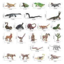 12 件逼真的野生动物模型玩具套装（亚洲和非洲）房间装饰 - 彩色 - 查看 5