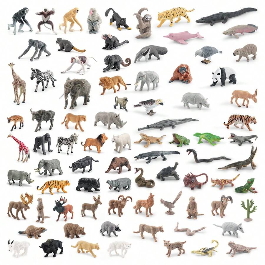 12 件逼真的野生动物模型玩具套装(亚洲和非洲)房间装饰 - 彩色 - 查看 1