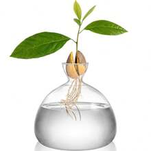 1 pieza Vaso de cristal hidroponía de aguacate, maceta de semilla de aguacate y nuez, vaso de planta de hidroponía, maceta, apto para decoración del hogar, estudio de plantas, habitación, decoración de escritorio - 1 jarrón de aguacate. - Ver 3