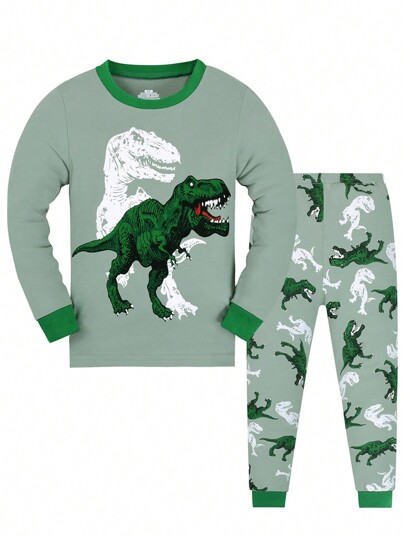 2pcs/Set Young Boy Cartoon Dinosaur Print Long Sleeve Sleepwear Pajama Set, All Season