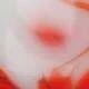 Rojo y blanco
