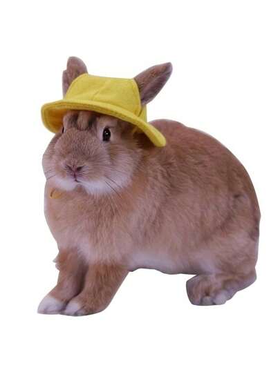 Cute Pet Hats, Decorated Velvet Cap, Rabbit & Hamster Fabric Cap, Pet Sun Hat, Rabbit Decor Headwear With Ear Holes, Adorable Little Pet Heawear