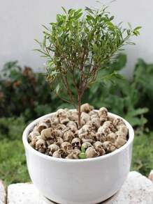 20 件万圣节装饰，树脂迷你骷髅头，微景观花园盆栽装饰，花园鹅卵石装饰，适用于万圣节派对背景装饰 - 彩色 - 查看 4