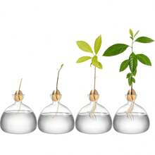 1 pieza Vaso de cristal hidroponía de aguacate, maceta de semilla de aguacate y nuez, vaso de planta de hidroponía, maceta, apto para decoración del hogar, estudio de plantas, habitación, decoración de escritorio - 1 jarrón de aguacate. - Ver 4