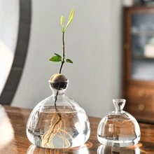 1 pieza Vaso de cristal hidroponía de aguacate, maceta de semilla de aguacate y nuez, vaso de planta de hidroponía, maceta, apto para decoración del hogar, estudio de plantas, habitación, decoración de escritorio - 1 jarrón de aguacate. - Ver 1