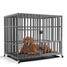BingoPaw Heavy Duty Dog Crate, Large Pet Cage Moveable With Tear Resistant Square Tube, Two Prevent Escape Lock And Removeable Tray - Black - View 2
