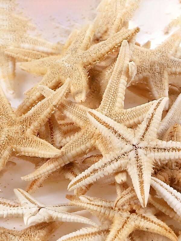 Decoración de estrella de mar mini perfecta para la decoración de acuarios, jardines y adornos exteriores