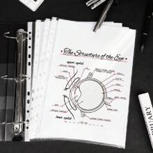 100个A4打孔文件夹4C透明PP塑料办公用品防水袋L形保护膜文件夹11孔透明活页内页袋收纳保护膜批发