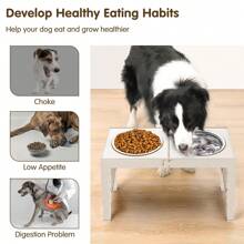 1 Set Elevated Dog Bowls, Collapsible Design, 4 Adjustable Heights, Dog Raised Bowls With 2 Stainless Steel Bowls, No Slip Dog Feeder For Medium Large Breed Dogs
