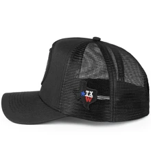 Trucker Country Texas Wind Cap Curved Brim Cowboy Telinha - màu đen - Xem 6