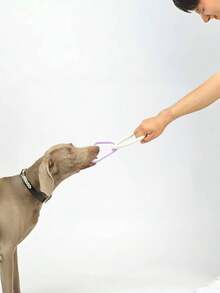 1pc Rubber Chew Toy With Rope For Dogs, Interactive Tug Of War Toy - Purple - View 6