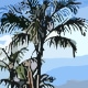 Desenho 12