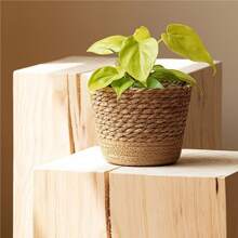 Natural Woven Planter Basket Straw Wicker Storage Baskets Multifunctional Garden Flower Pot For Living Room Bedroom Balcony Home Bathroom Decor Bathroom Organizer Summer Back To School - Coffee Brown - View 3