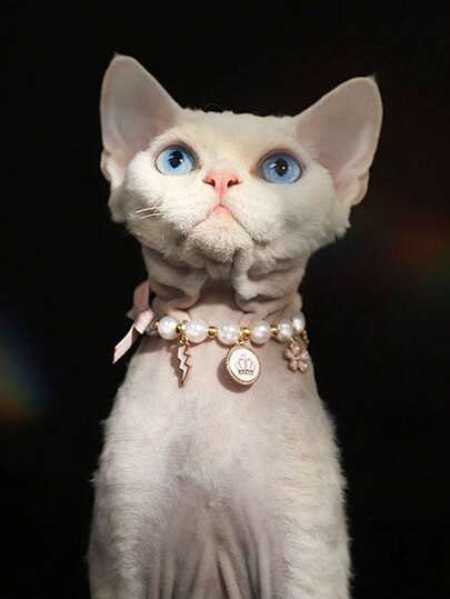 1pc Adjustable Pink Pearl Collar For Cats & Dogs
