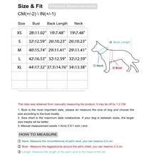 Classic Solid Knitted Dog Jumper | Cozy Cable Knit Pet Sweater For Bichon Frise & Poodle | Casual Warm Dog Clothes - Multicolor - View 2