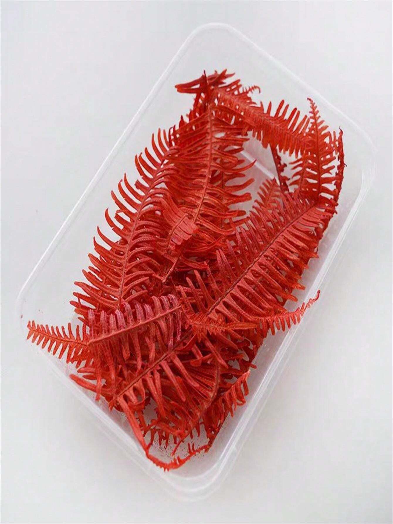 Eternal Flower Mangqiong Wolf Mangqiong Leaf Fern Leaf Glass Cover