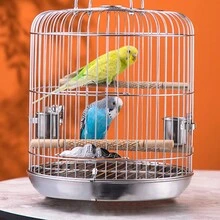5 Inch Stainless Steel Bird Travel Cage With Stand And Food Bowls For Parrots - Silver - View 5