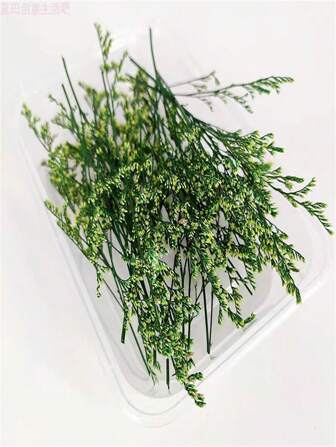 永恒之爱草干花DIY香薰蜡烛香薰蜡品牌干花摆件摄影装饰（23g）