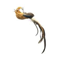 1 件装蜂鸟猫棒头猫玩具长杆互动玩具小猫玩具猫咪配件