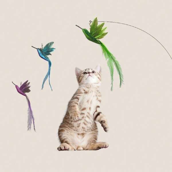 1Pc Hummingbird Cat Stick Head Cats Toys Long Pole Interactive Toy Kitten Toys Cat Accessories