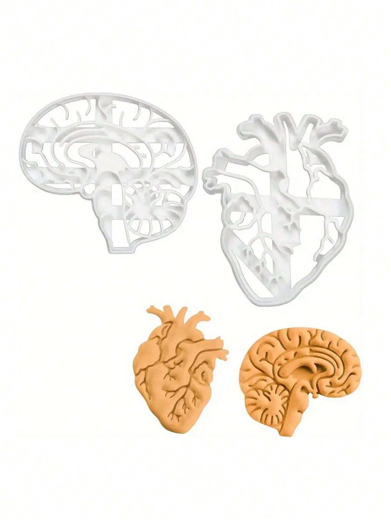 2Pcs Human Anatomy Cookie Stencils Set, Plastic Brain And Heart ...