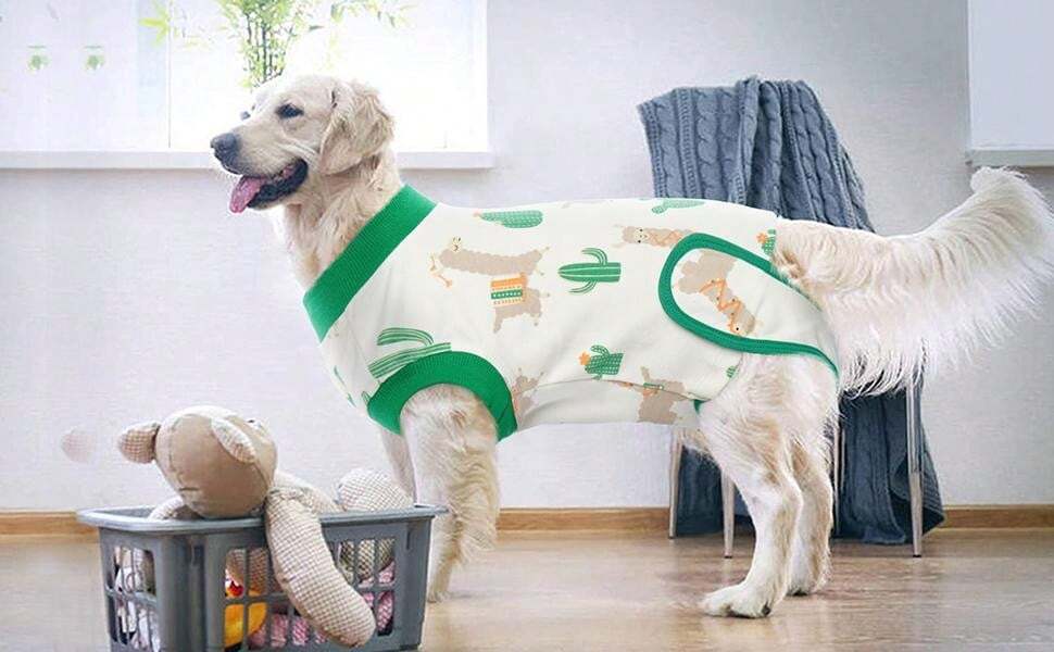 Body Pour Chien Après Stérilisation Fait Maison Combinaison de récupération pour chien, combinaison douce pour chiens