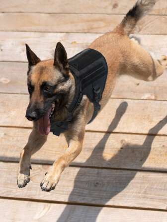 大/中型犬訓練背心式胸背帶,尼龍犬用胸背帶,配有牽繩,防水寵物服裝,適用於大中型犬,訓練胸背帶套裝